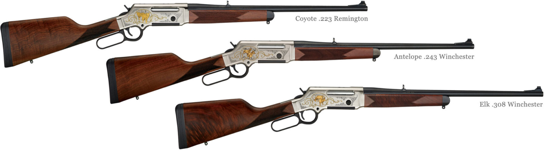 223 Rem and 5.56 NATO, Rifles, Henry Repeating Arms